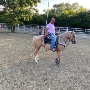 Meet your Posher, Arturito